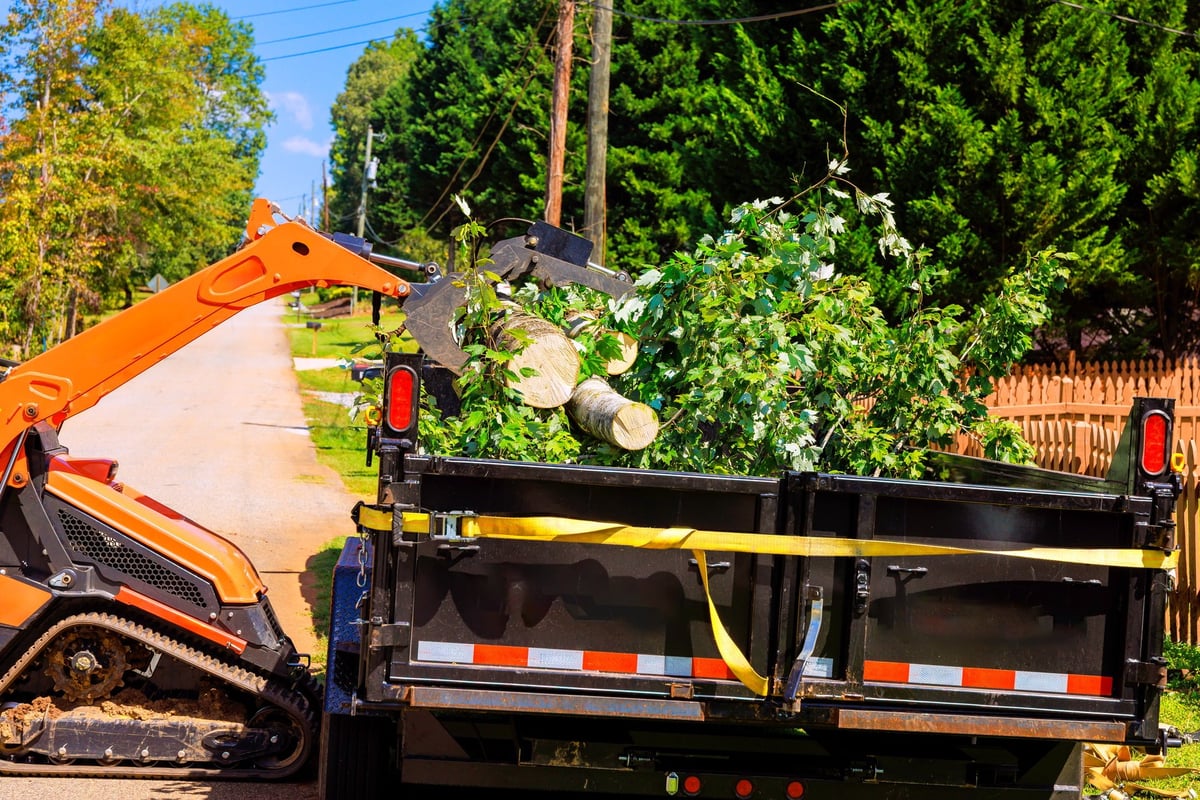Crawler tractor loader collecting branches and debris